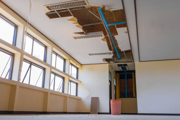 Best Professional water damage repair  in Madison, NE