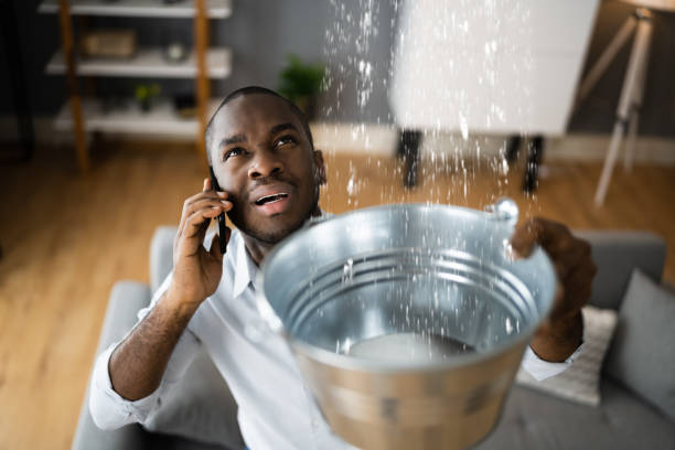  Madison, NE Water damage restoration Pros