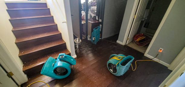 Best Sewage cleanup and water damage restoration  in Madison, NE
