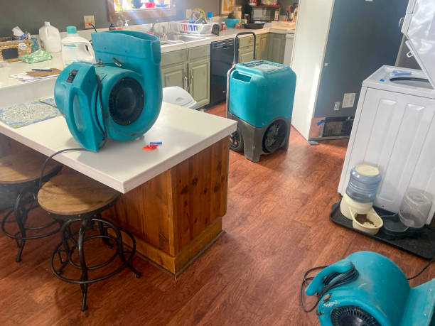 Best 24/7 water damage repair  in Madison, NE
