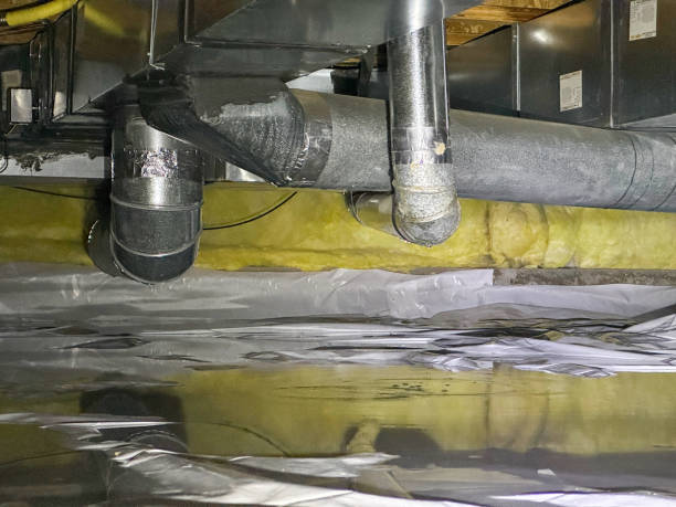 Best Fire Damage Restoration  in Madison, NE
