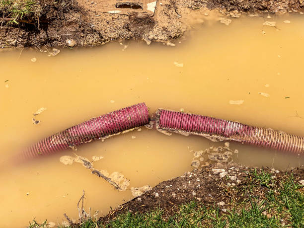 Best Flood restoration services  in Madison, NE