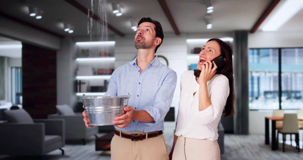 Best Water damage restoration near me  in Madison, NE