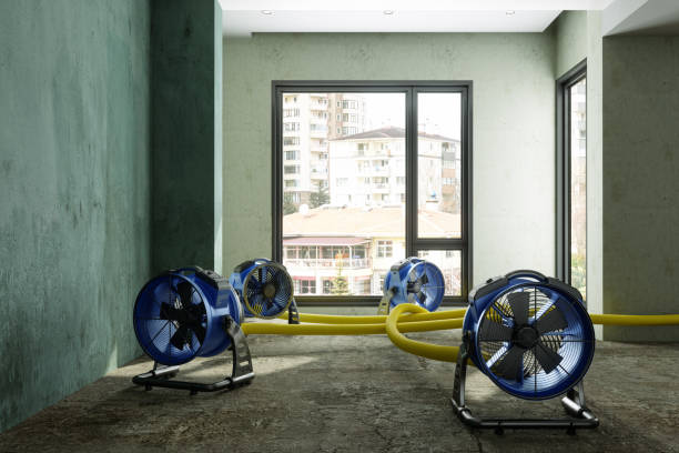 Professional Water damage restoration in NE